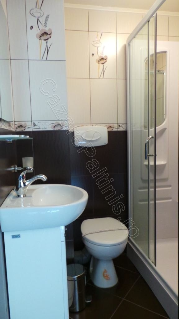 Cazare in Paltinis - VILA CREASTA COCOSULUI - Paltinis Cazare in Paltinis - VILA CREASTA COCOSULUI - Paltinis