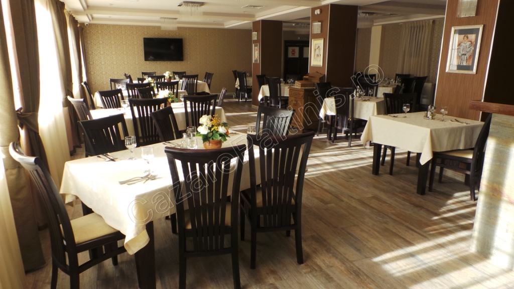 Cazare in Paltinis - VILA CREASTA COCOSULUI - Paltinis Cazare in Paltinis - VILA CREASTA COCOSULUI - Paltinis