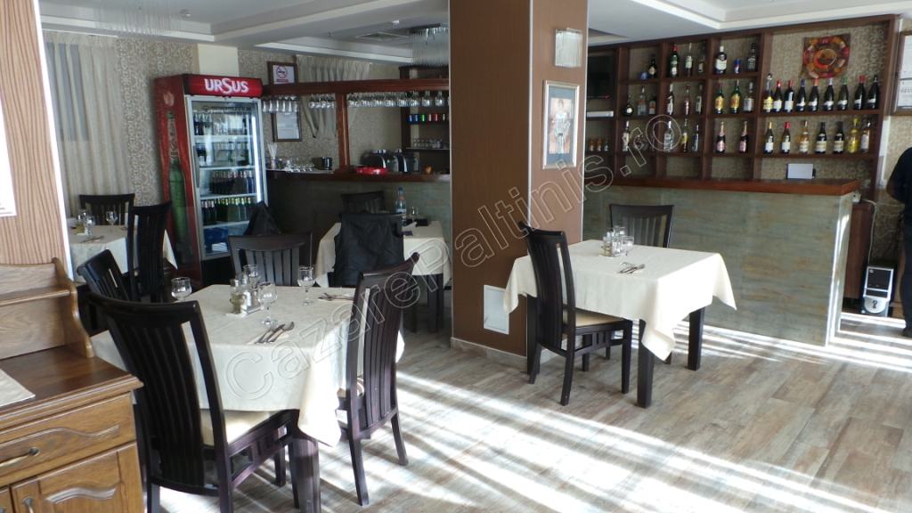 Cazare in Paltinis - VILA CREASTA COCOSULUI - Paltinis Cazare in Paltinis - VILA CREASTA COCOSULUI - Paltinis