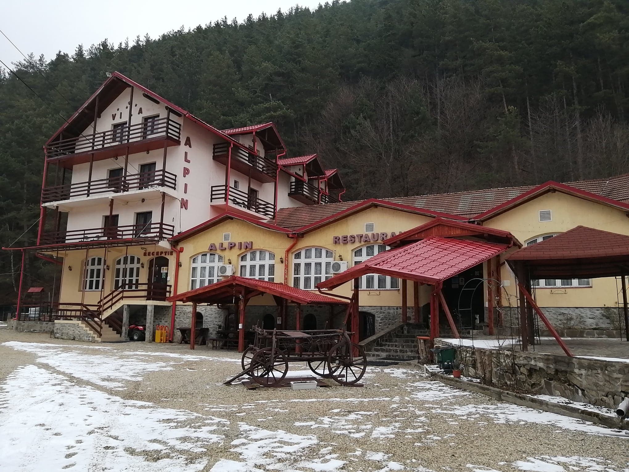 Cazare in Paltinis - PENSIUNEA ALPIN - Valea Stezii Cazare in Paltinis - PENSIUNEA ALPIN - Valea Stezii