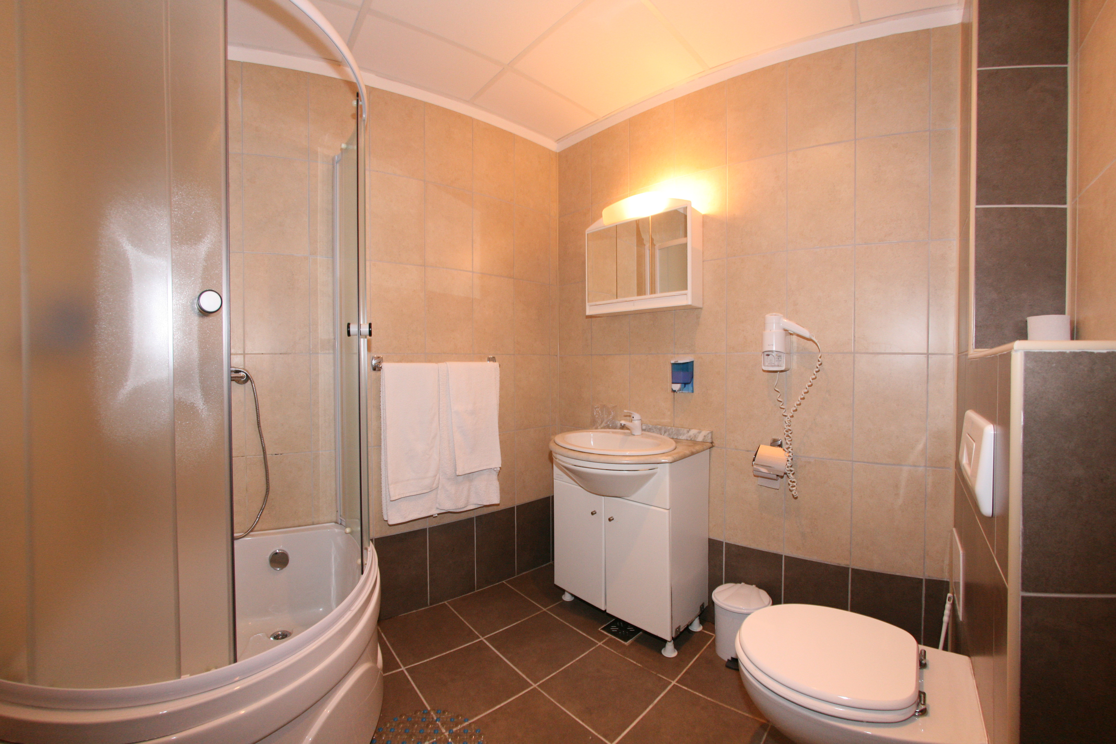 Cazare in Paltinis - PENSIUNEA ALPIN - Valea Stezii Cazare in Paltinis - PENSIUNEA ALPIN - Valea Stezii