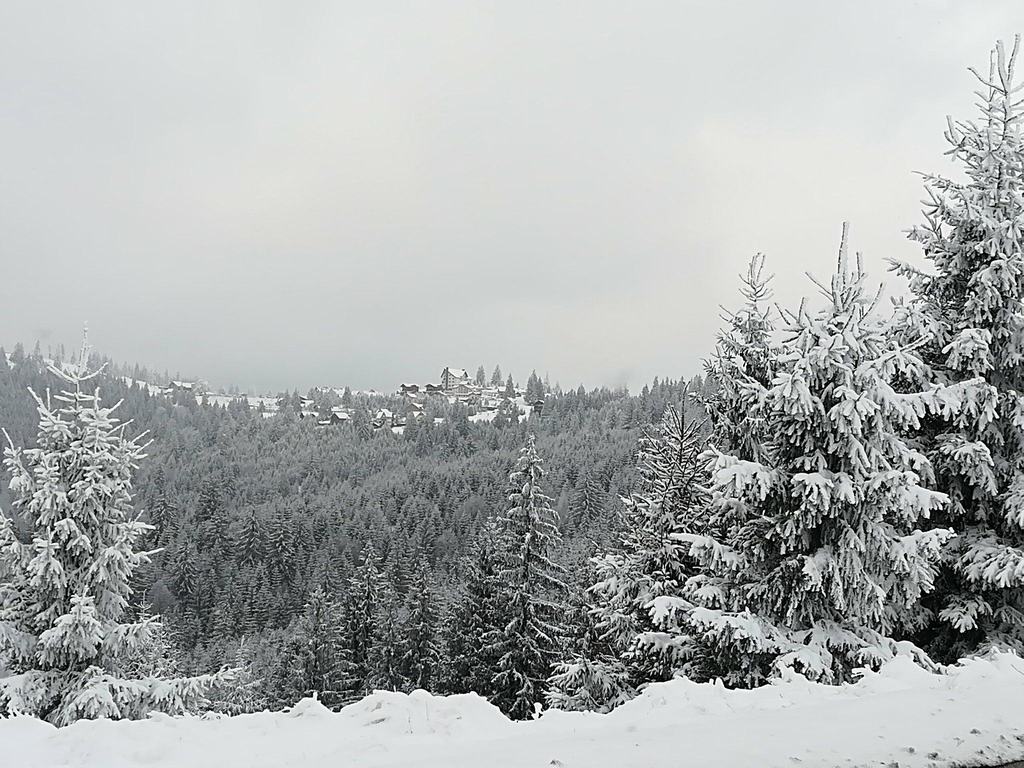 Cazare in Paltinis - PENSIUNEA MAI - Valea Stezii Cazare in Paltinis - PENSIUNEA MAI - Valea Stezii